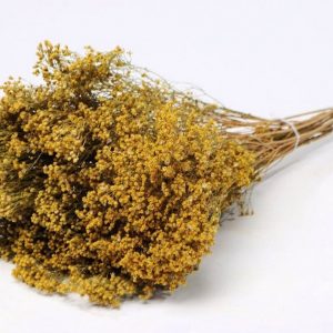 Broom Bloom 150gr cor natural