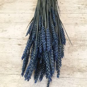Espigas trigo azul escuro 1