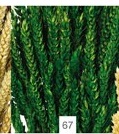 Espigas trigo verde escuro