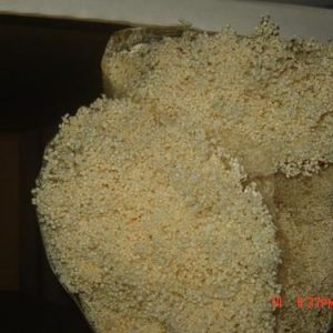 Broom Bloom 200gr 1