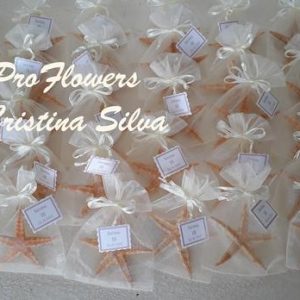 Estrela do mar aprox. 8cm em bolsa de organza c/cartão personalizado