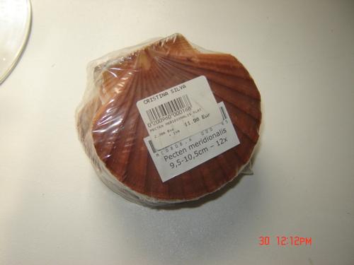 Conchas vieira planas 9-11cm 12uni Conchas vieira planas 9-11cm 12uni