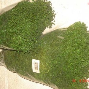 Broom Bloom 200gr 3