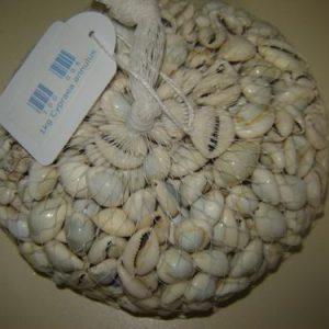 CYPRAEA ANUULUS 1kg