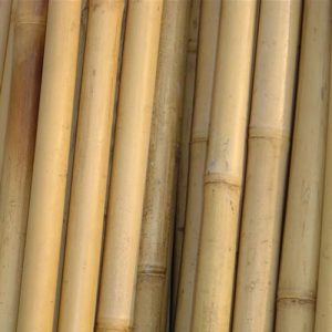 Cana de bambu natural ao metro