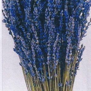 Lavanda Preservada 150gr