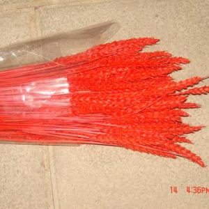 Espigas trigo Vermelho 200gr