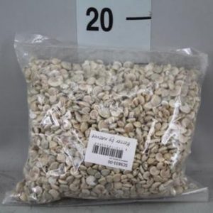 Caracois mini 1-2cm 1Kg