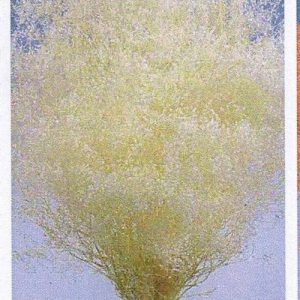 Gypsophila mini branca 100gr
