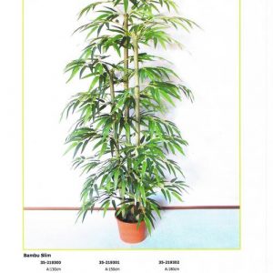 Bambu 1,80m 3 canas