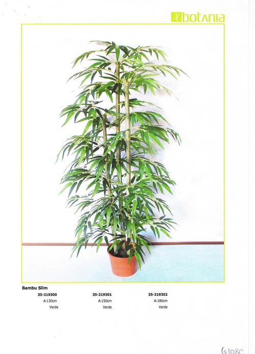 Bambu 1,80m 3 canas Bambu 1,80m 3 canas