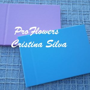 Livro de honra liso (sem personalização) texturado