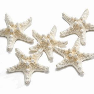Estrela do mar branca 10 unidades 5/7cm