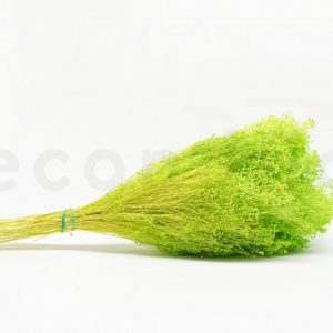 Broom Bloom 200gr 5