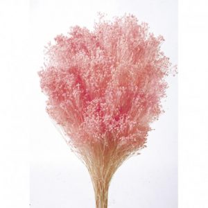 Broom Bloom 200gr 6