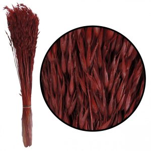 Aveia natural seca vermelho