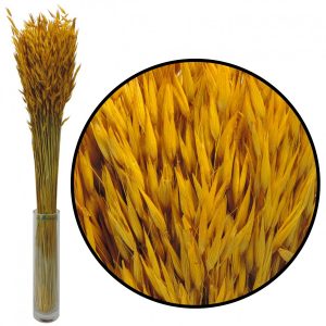 Aveia natural seca vermelho (Cópia)