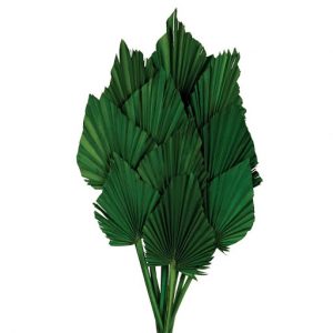 Palm Spear pintada 10 unidades