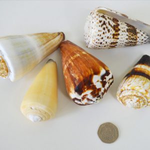 Cones mix 1kg