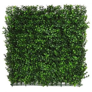 Placa de buxus para jardim vertical