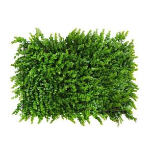 Placa de eucaliptus para jardim vertical