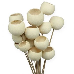 Bell  Cup branco